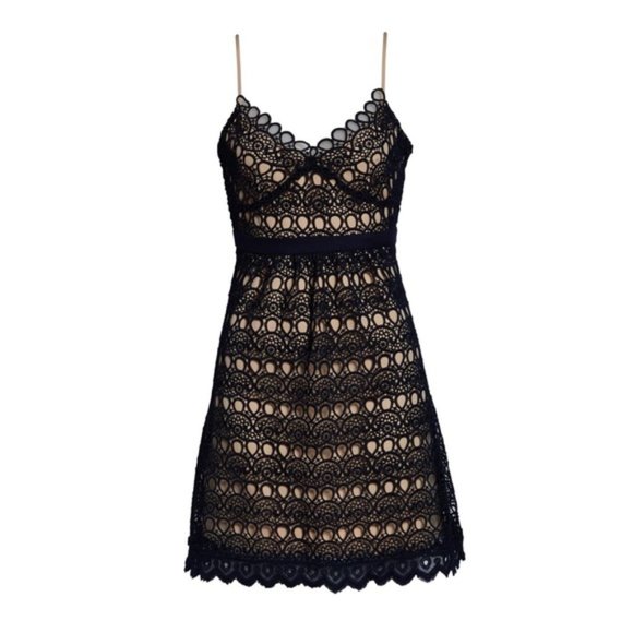 FOXIEDOX Hellia Navy Nude Lace A-Line Mini Dress XS - Picture 5 of 5